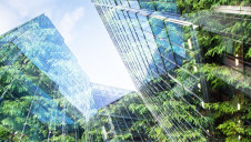 Anthesis' corporate clients include Amazon, Tesco and Cisco
